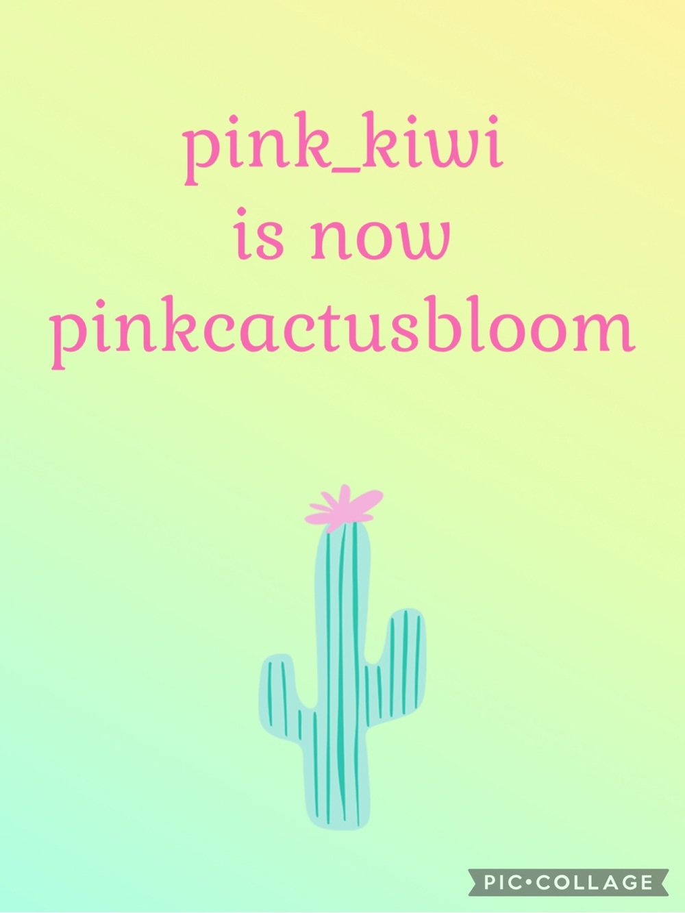 Pink_kiwi is now pinkcactusbloom